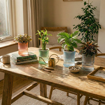 A Self-Watering Planter That Reduces Watering Stress